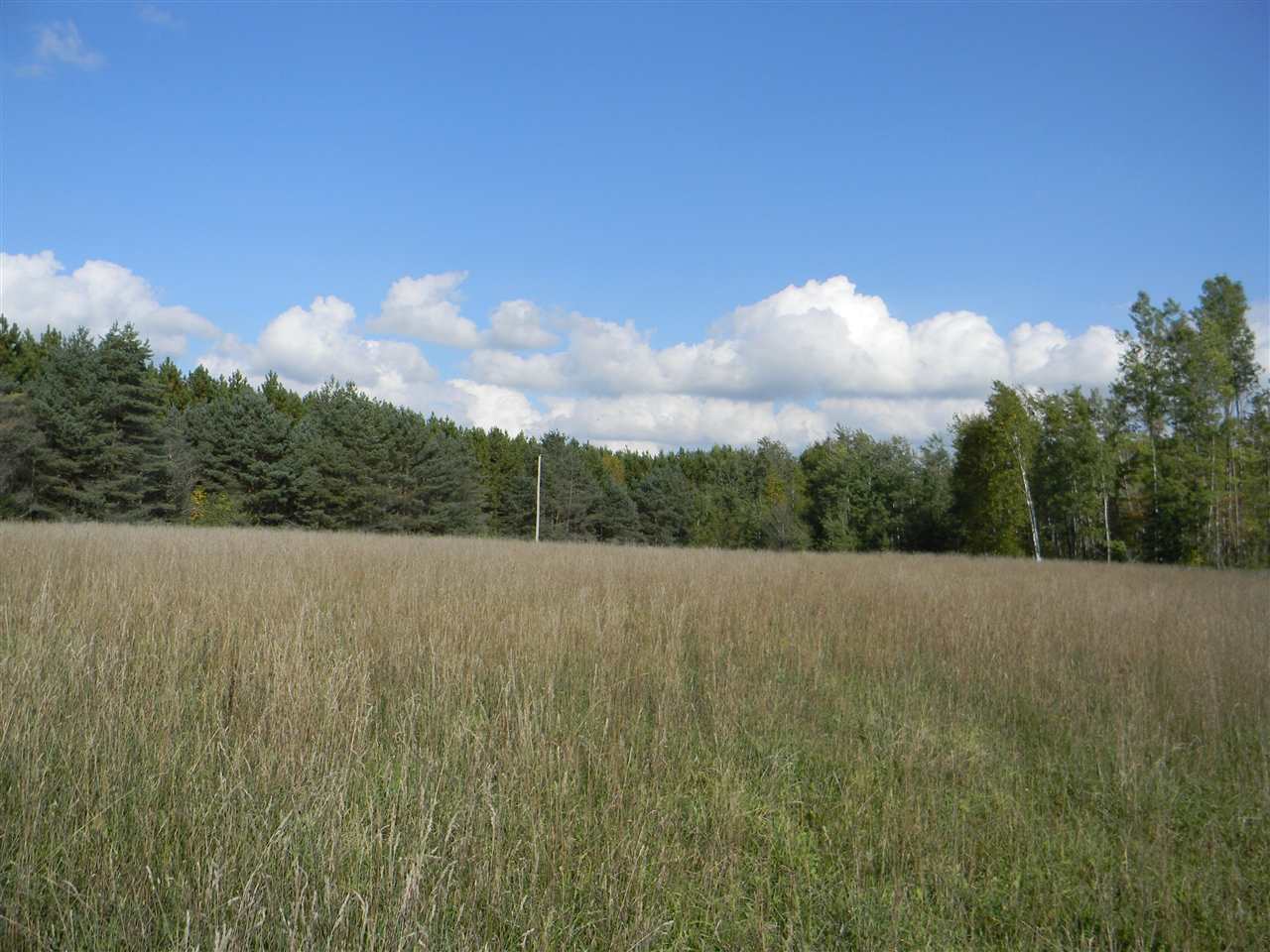 1463 Wiltse Road Lupton, MI 48635 - Photo 45 of 54 1835295-44.JPG