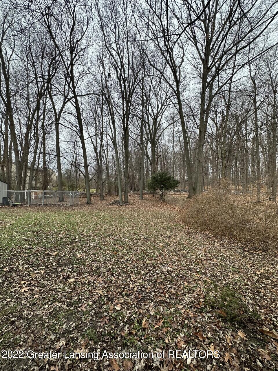 1101 Maycroft Road Lansing, MI 48917 - Photo 28 of 29 Back yard