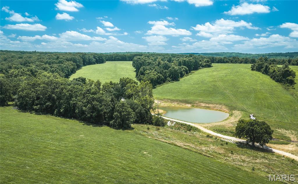 171 Czar Tower Road Steelville, MO 65565 - Photo 2 of 54