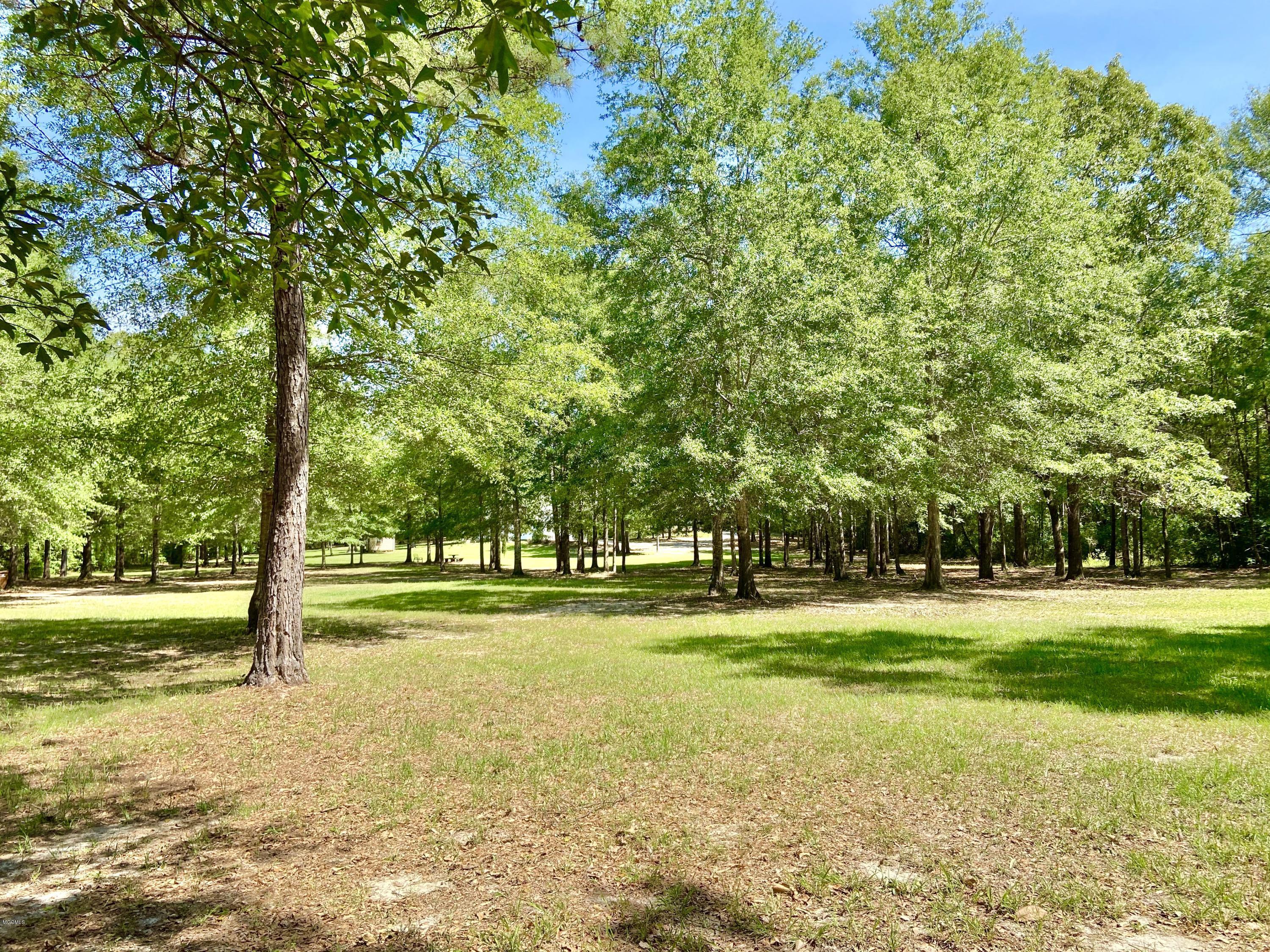24171 Success Road Saucier, MS 39574 - Photo 53 of 55 IMG_E4482