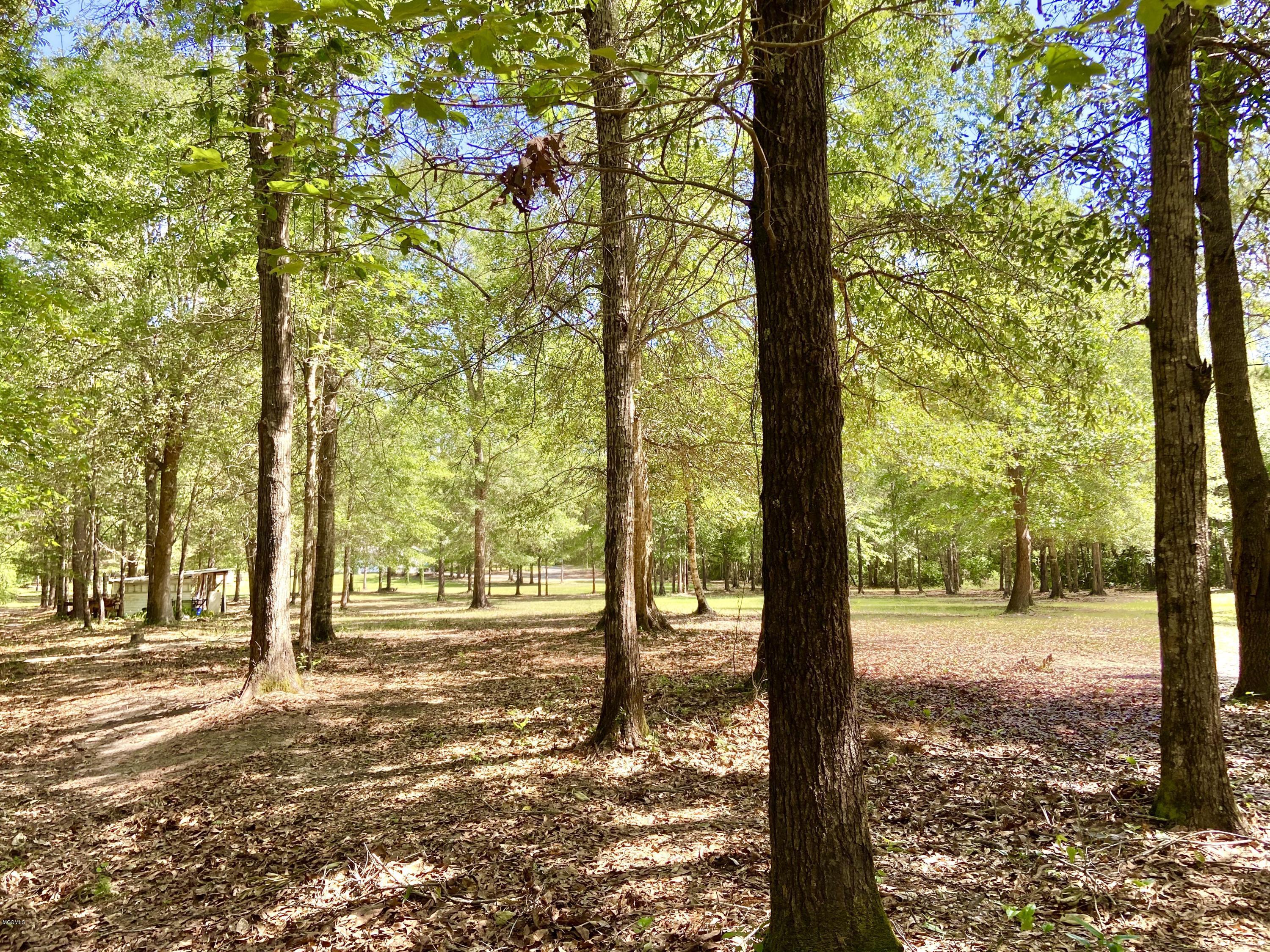 24171 Success Road Saucier, MS 39574 - Photo 55 of 55 IMG_E4480