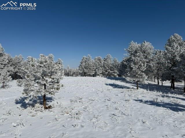 12196 Goodson Road Colorado Springs, CO 80908 - Photo 4 of 6 Gallery Image 4