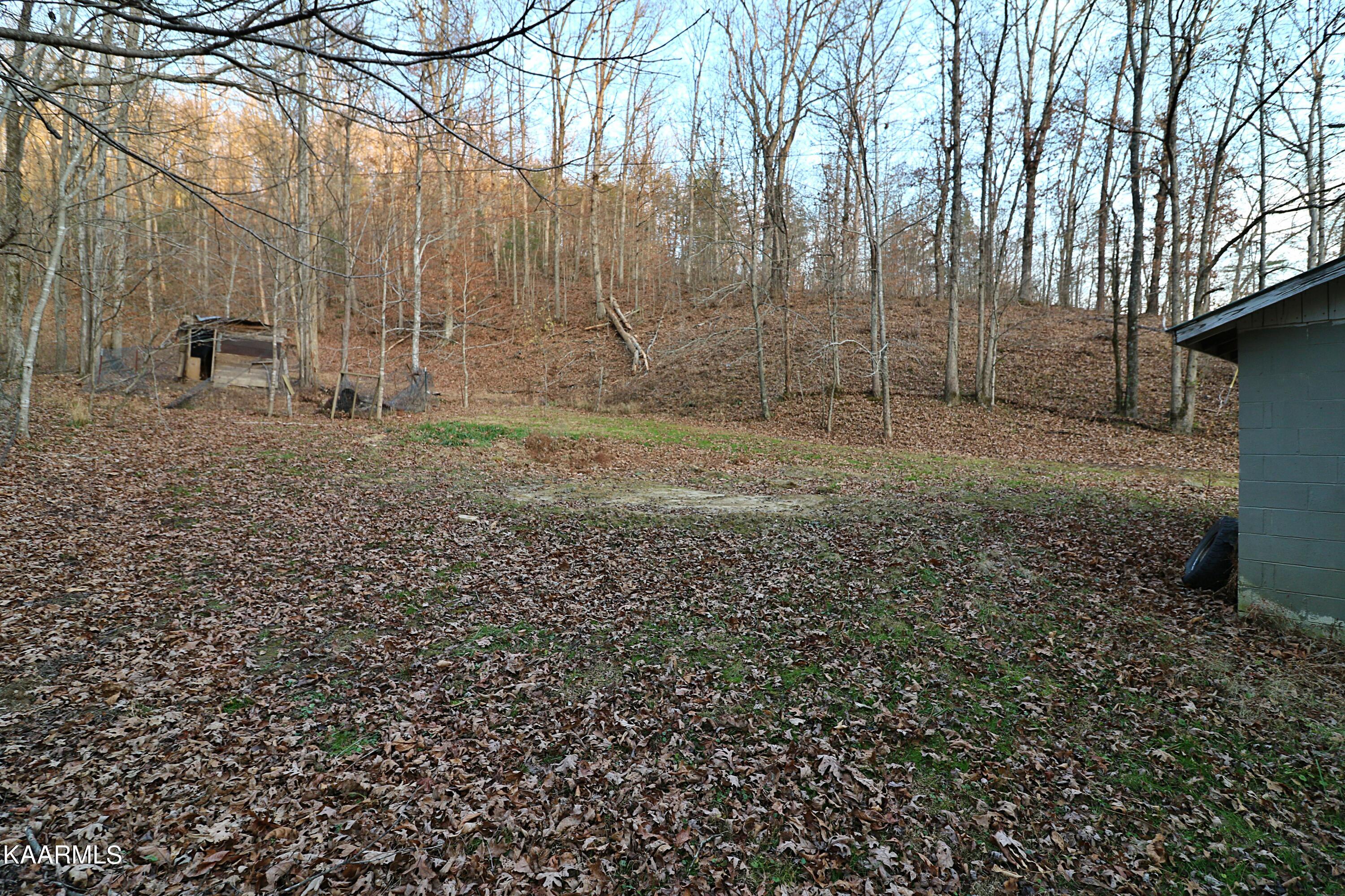 540 Grassy Knob Road Robbins, TN 37852 - Photo 22 of 26 094A8592