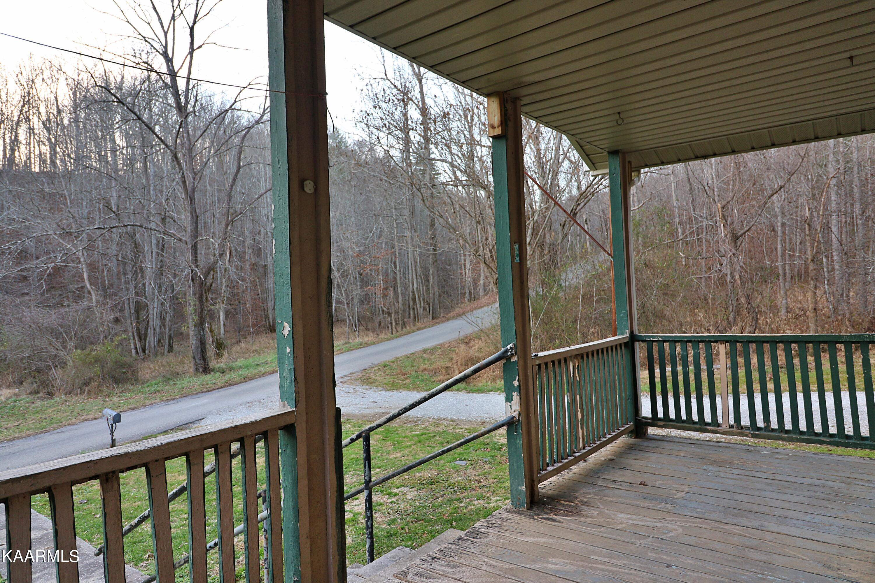 540 Grassy Knob Road Robbins, TN 37852 - Photo 4 of 26 094A8603