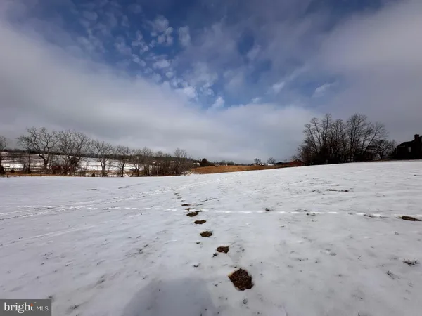 a view of an ocean beach