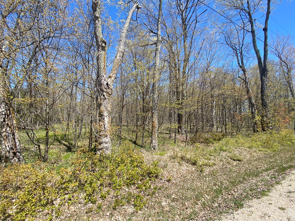 Maple Grove East Fish Creek, WI 54212 - Photo 2 of 7