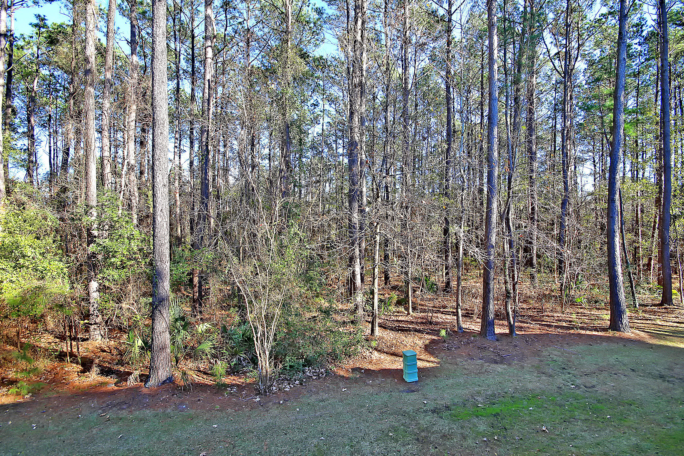 132 Fair Sailing Road Mount Pleasant, SC 29466 - Photo 7 of 48 IMG_1991 copy