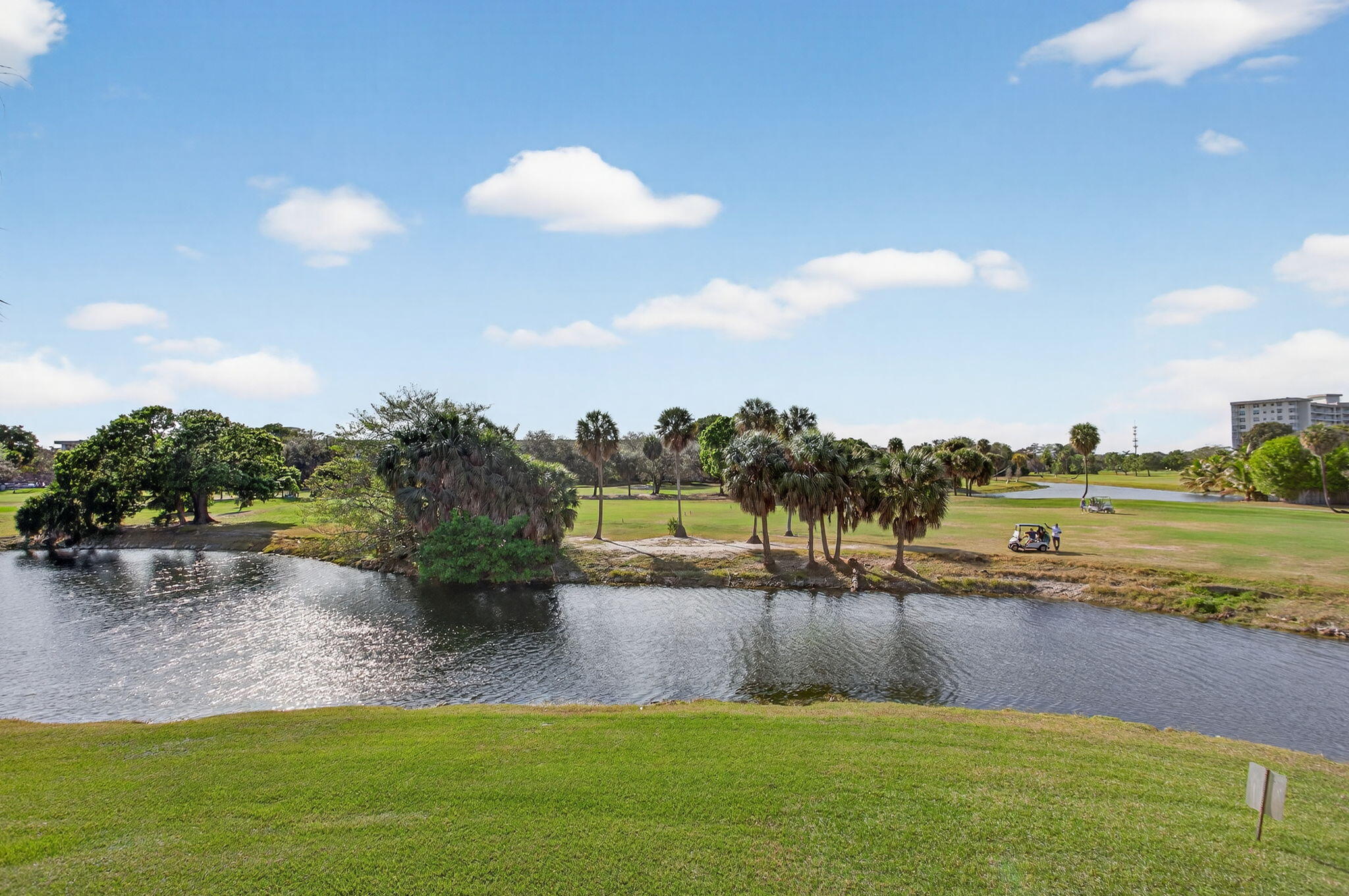 View from Back Patio