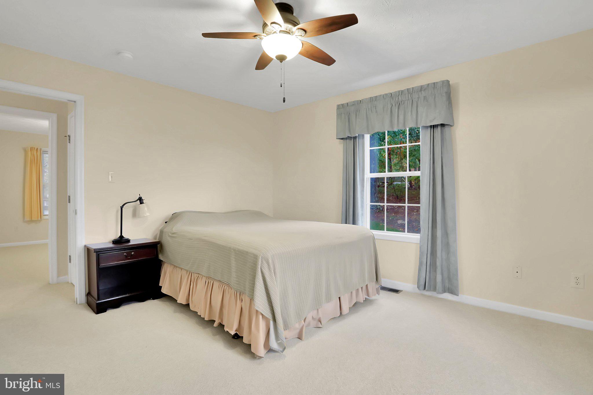 1050 Lower Valley Road Strasburg, VA 22657 - Photo 17 of 34 a spacious bedroom with a bed and a chandelier