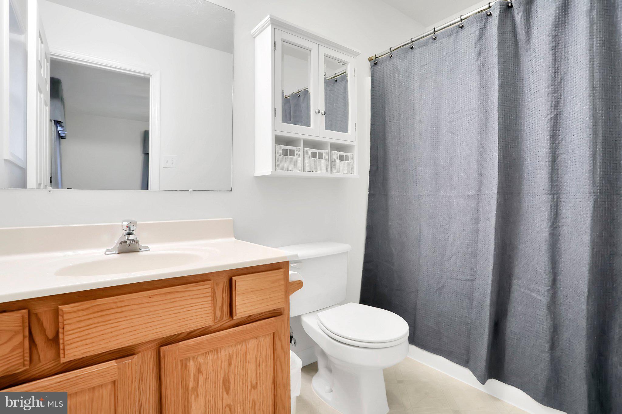 1050 Lower Valley Road Strasburg, VA 22657 - Photo 19 of 34 a bathroom with a sink a toilet and vanity