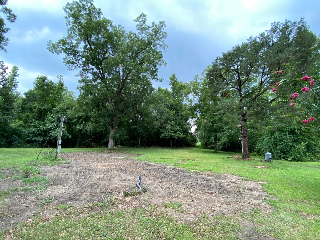 2242 Coot Adams Road Ashford, AL 36312 - Photo 12 of 39