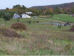 471 North Cross Road Benson, VT 05743 - Photo 3 of 8