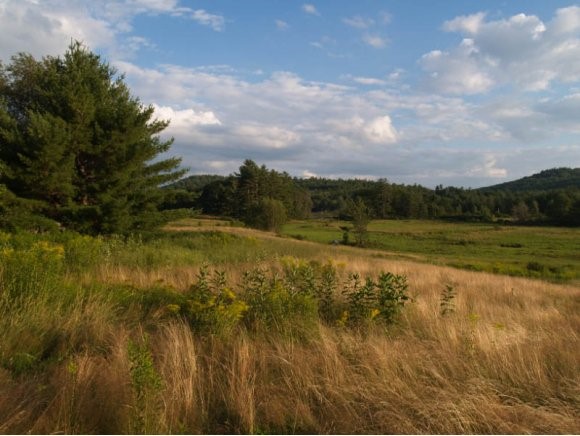 Lot 2 Felch Road North Sutton, NH 03260 - Photo 1 of 1 Gallery Image 1