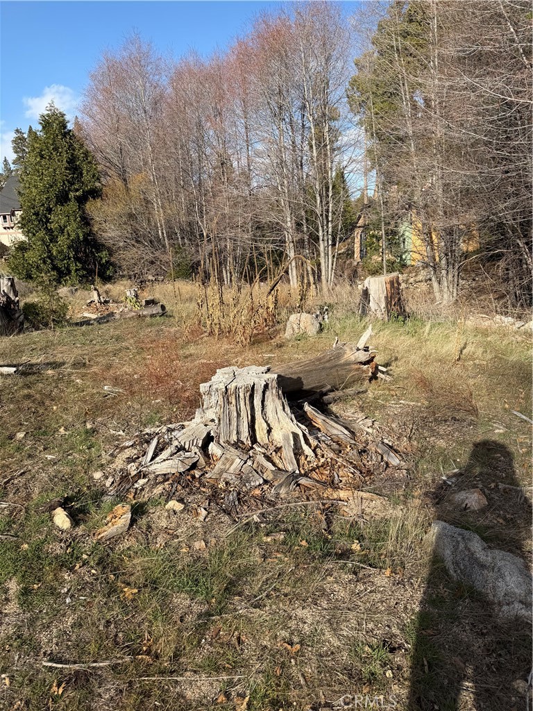 29649 Hook Creek Road Cedar Glen, CA 92321 - Photo 3 of 11 Lot has been cleared of any large timber