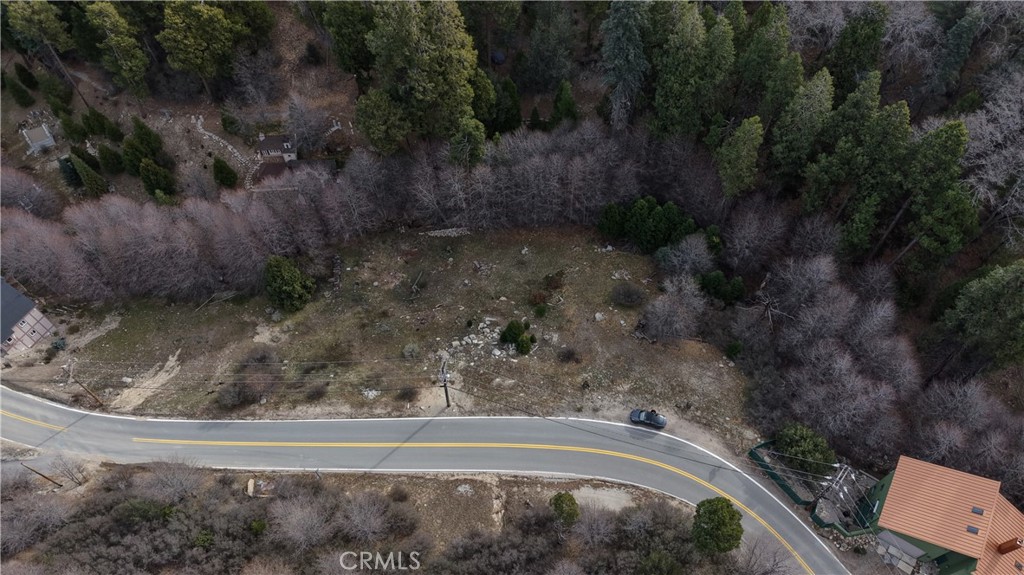 29649 Hook Creek Road Cedar Glen, CA 92321 - Photo 4 of 16 a view of a yard with wooden fence