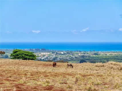 a view of ocean view