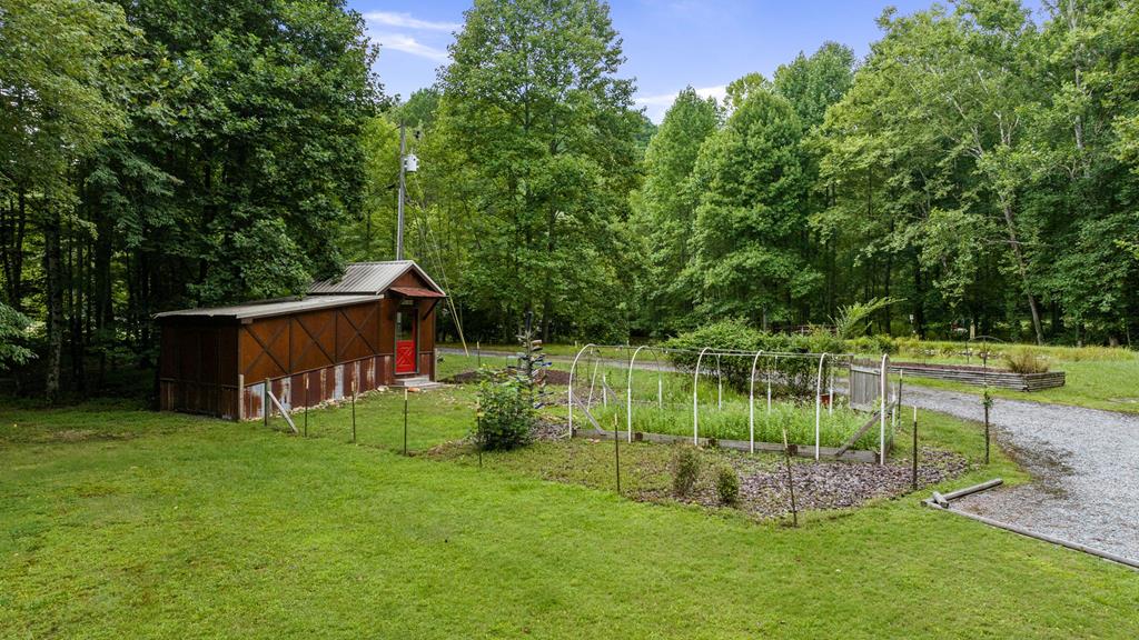 151 Olivers Pond Road Cherry Log, GA 30522 - Photo 24 of 57 Gallery Image 24