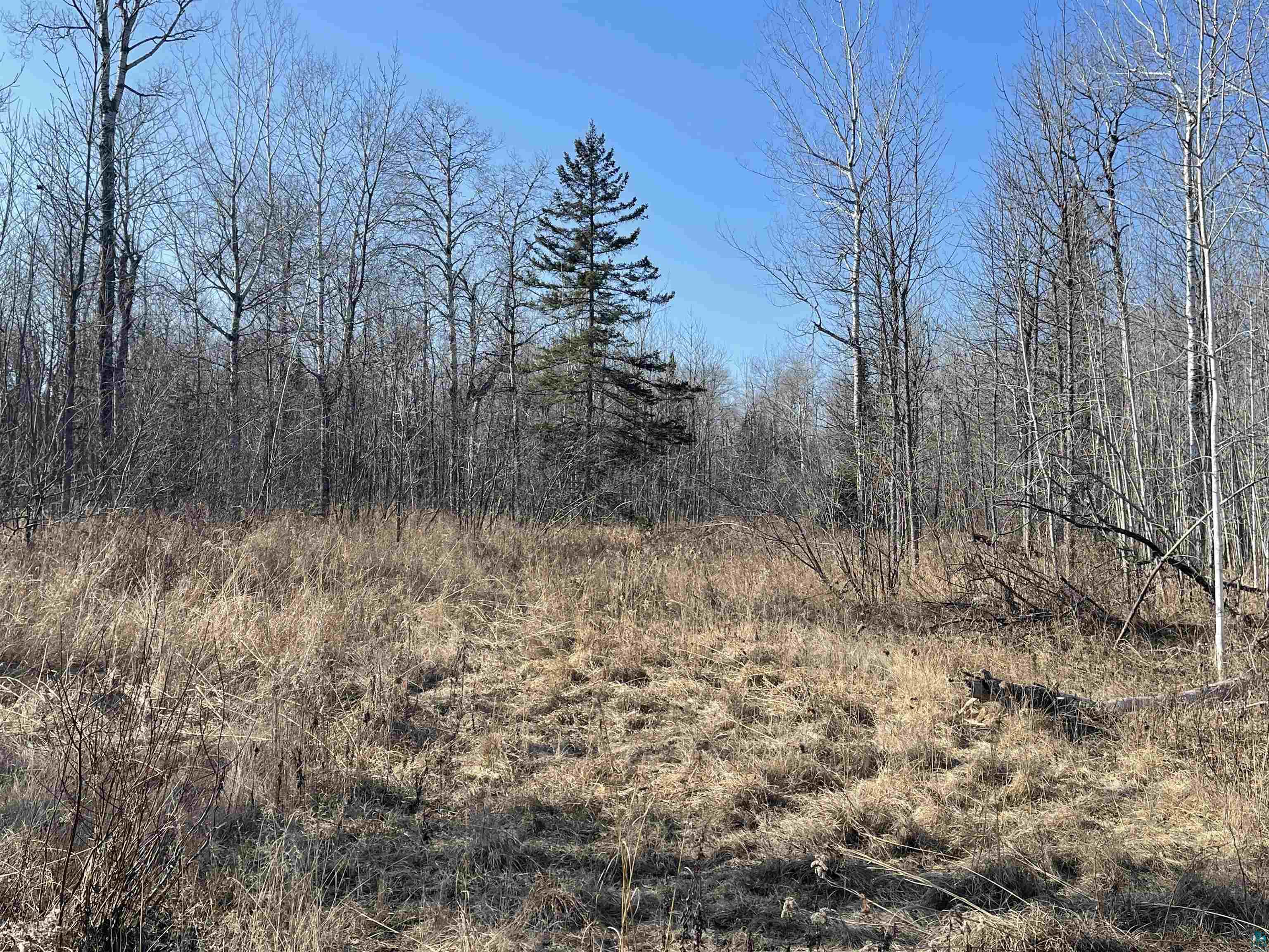 Xxxx Orienta Falls Road Port Wing, WI 54865 - Photo 9 of 9 Gallery Image 9