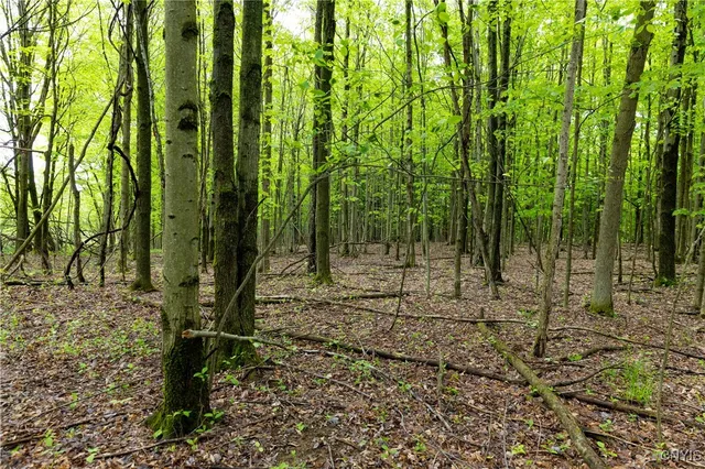 $165,000 | 58 Cascade Drive, New Hartford, NY 13413