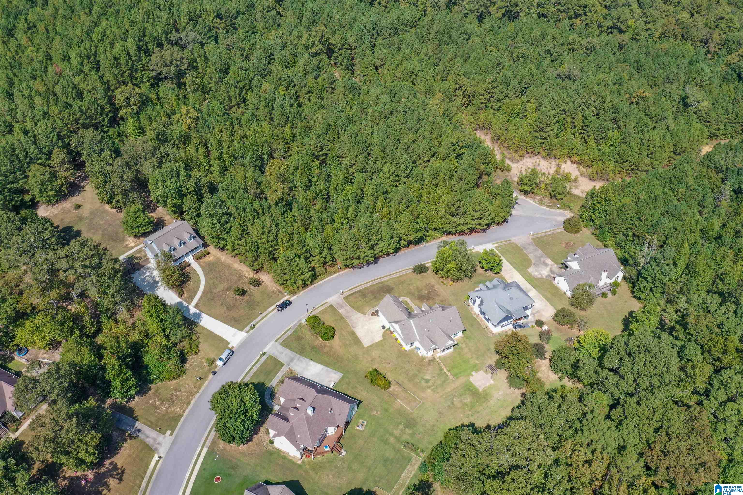 121 Thatcher Drive Vincent, AL 35178 - Photo 88 of 96