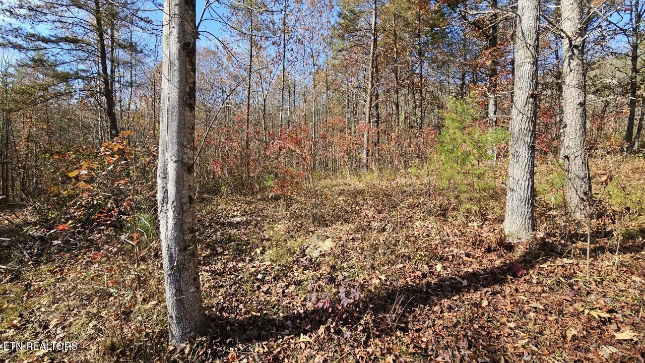 5908 Happy Valley Road Tallassee, TN 37878 - Photo 23 of 34 Gallery Image 23