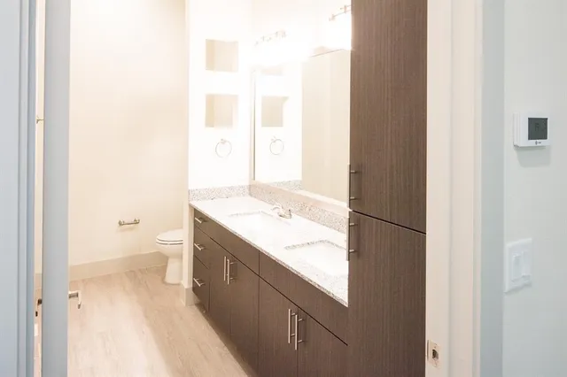 a bathroom with a sink and a toilet