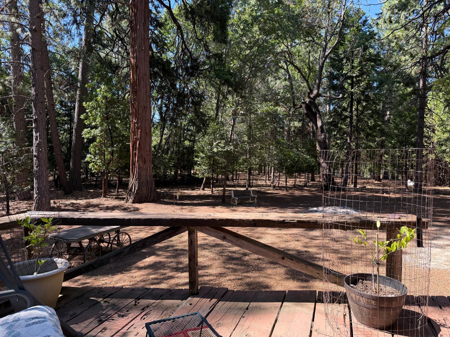 5695 Juarez Road Pollock Pines, CA 95726 - Photo 12 of 55