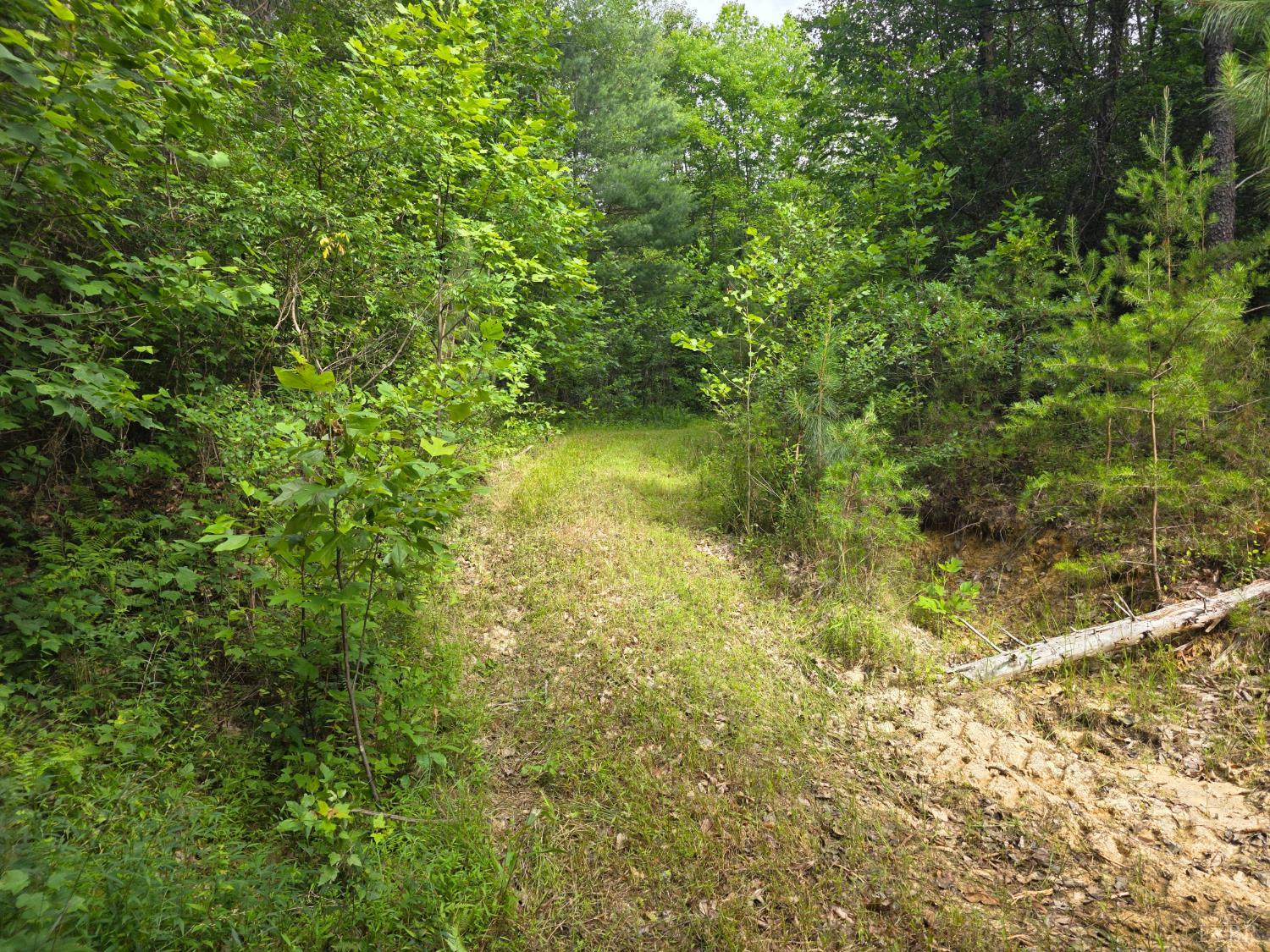 1408 Coleman Mountain Road Appomattox, VA 24522 - Photo 61 of 85