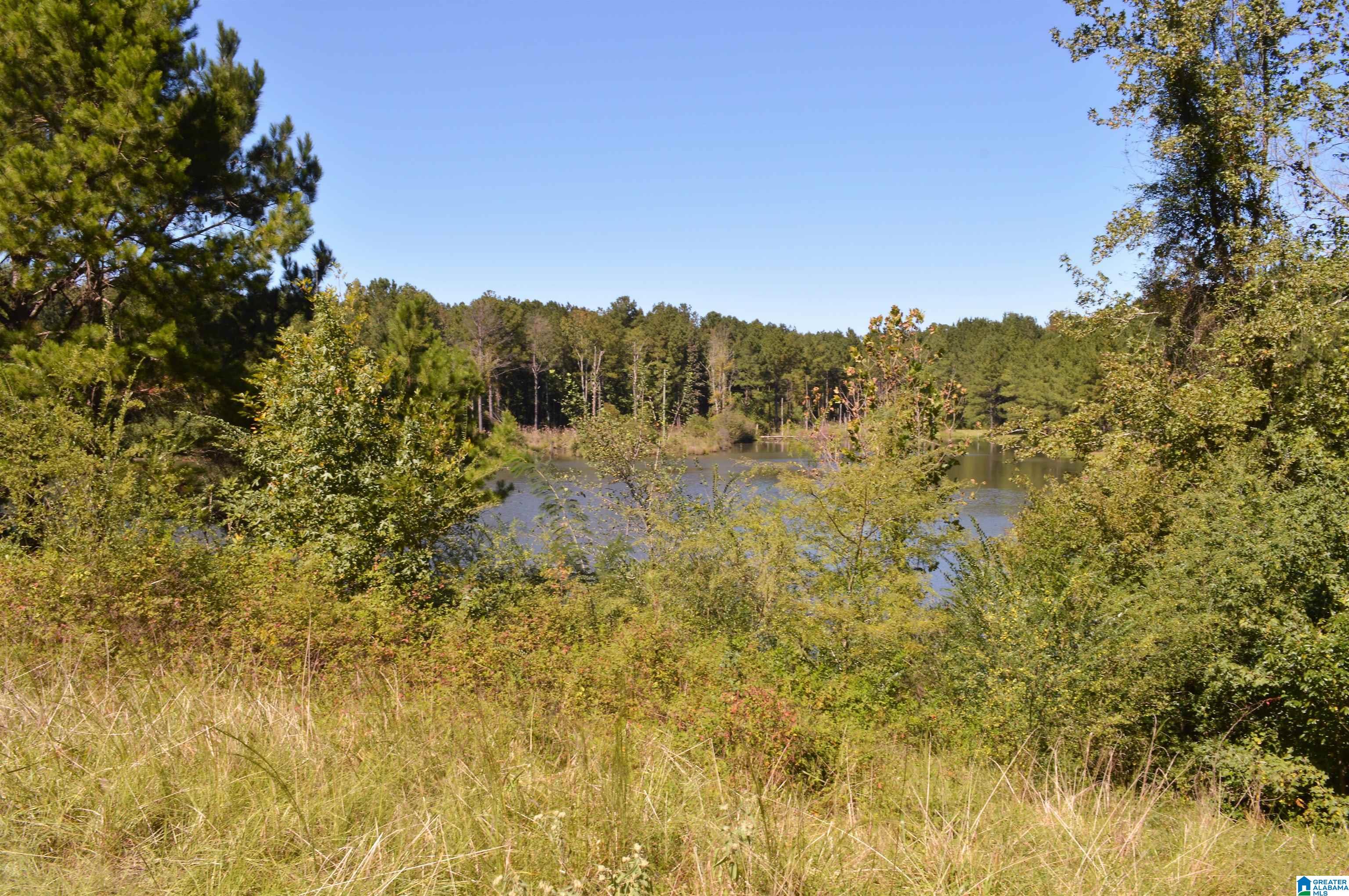 797 Hickory Hill Road West Blocton, AL 35184 - Photo 8 of 18