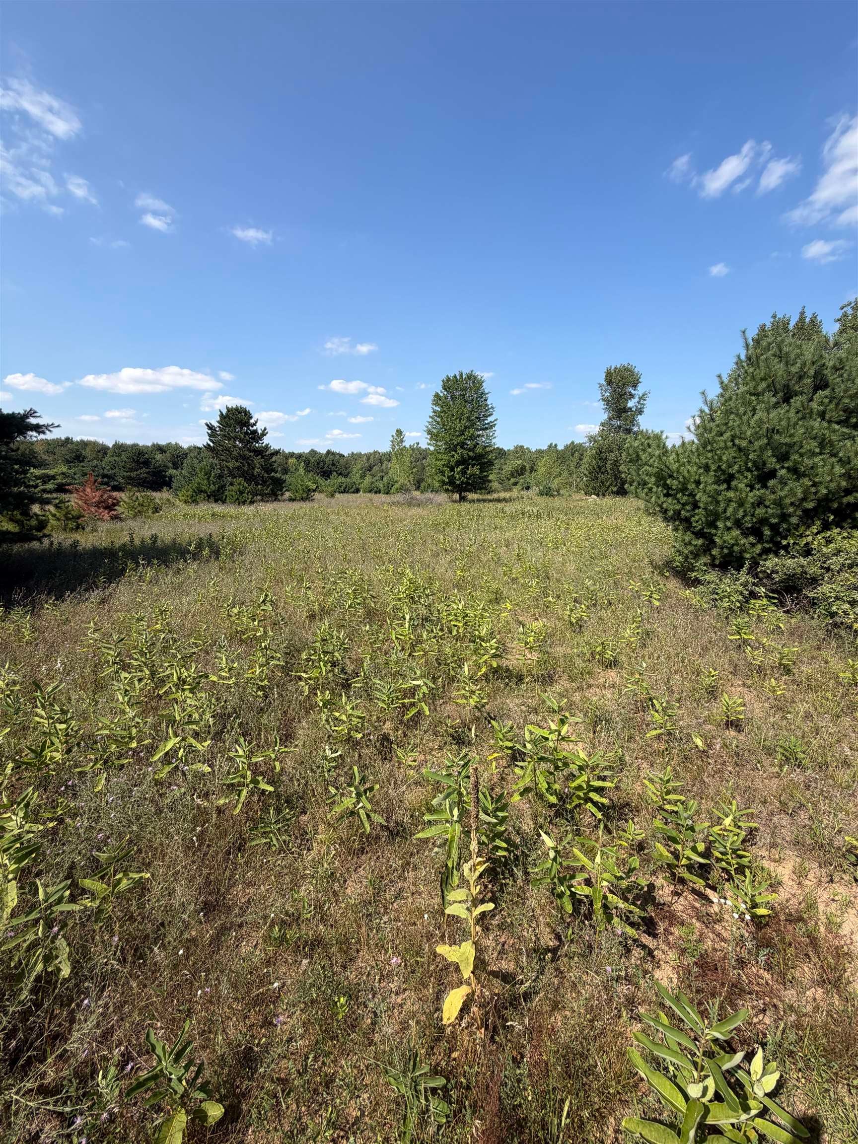V/l Ambrose Road Mayville, MI 48744 - Photo 6 of 11 Gallery Image 6