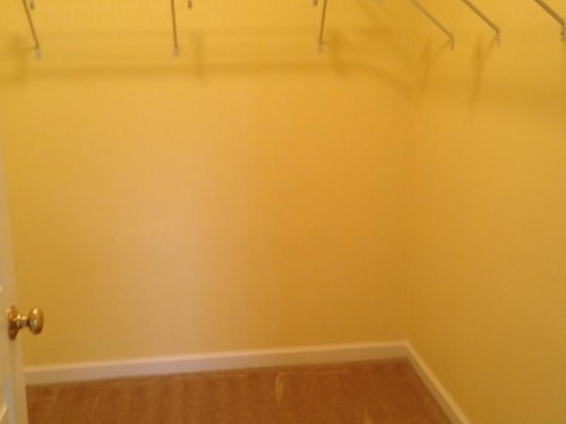 313 Saddlebrook Road Gibsonia, PA 15044 - Photo 8 of 21 Master Bedroom. Walk-in closet in MBR