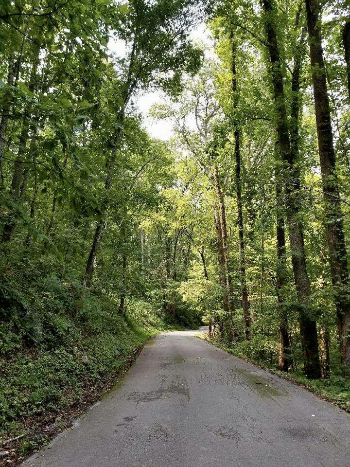 Old Cades Cove Road Townsend, TN 37882 - Photo 4 of 9 2A5110EC-8CD9-449C-BFF3-887C46452B53