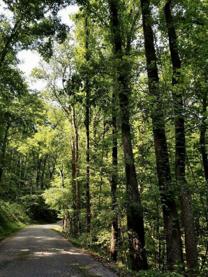 Old Cades Cove Road Townsend, TN 37882 - Photo 5 of 9 D75AD01B-1EE3-4538-8670-D6F799583070