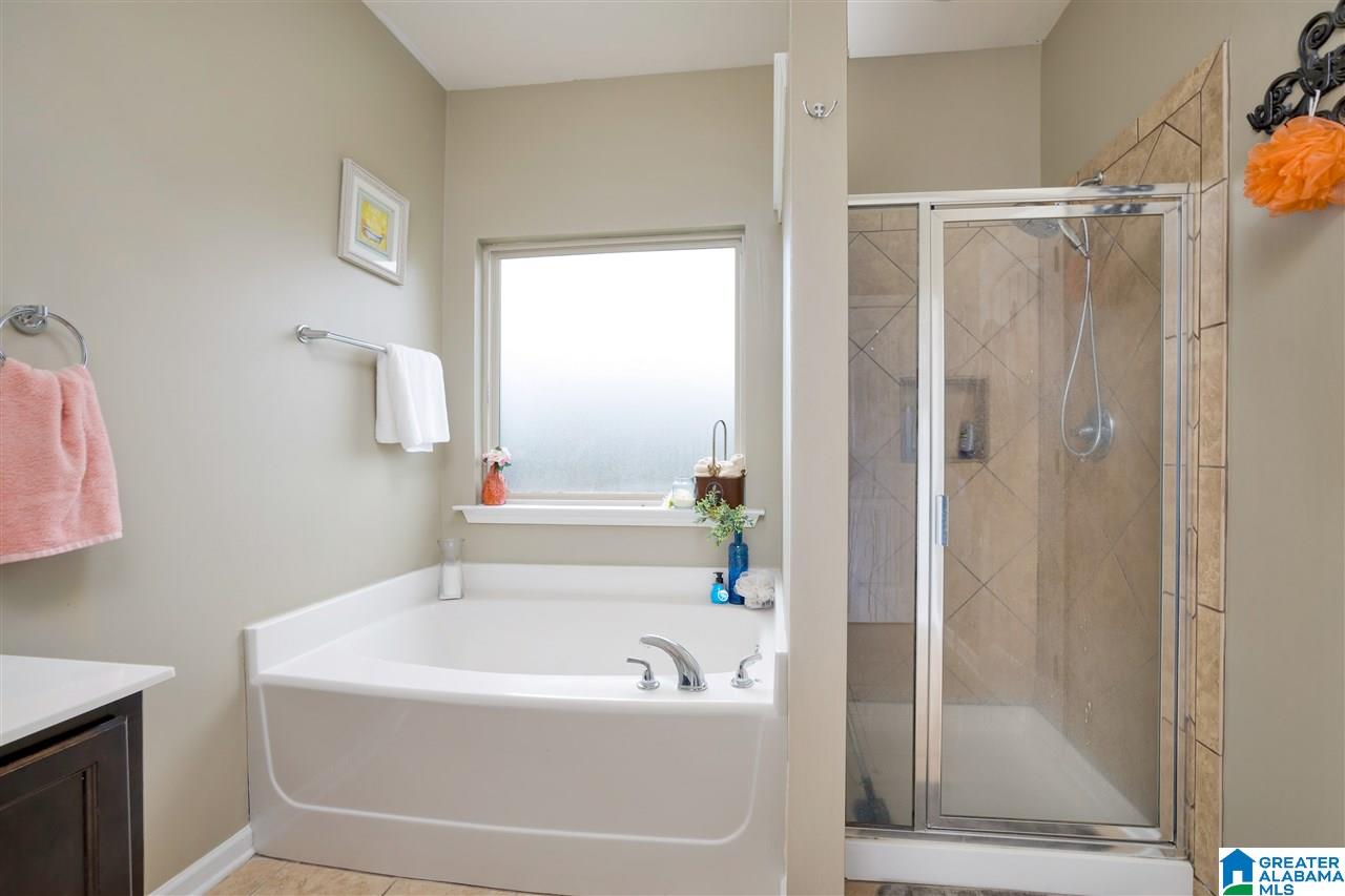 397 Blackberry Boulevard Springville, AL 35146 - Photo 20 of 30