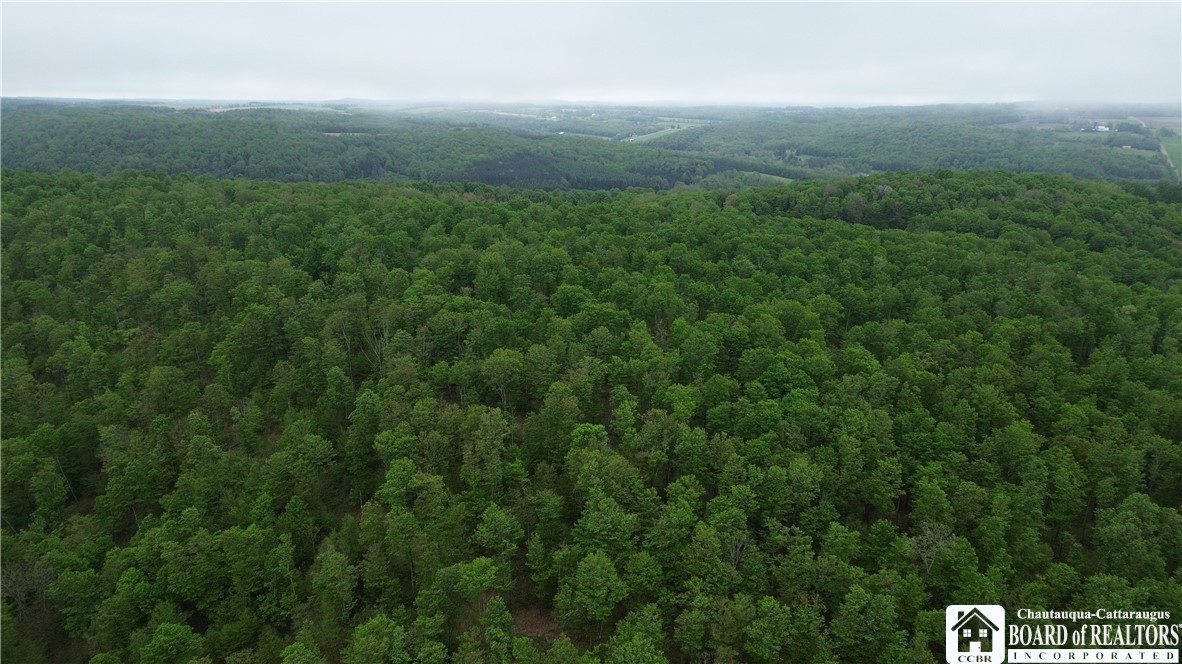 Fulmer Valley Road Wellsville, NY 14895 - Photo 8 of 49