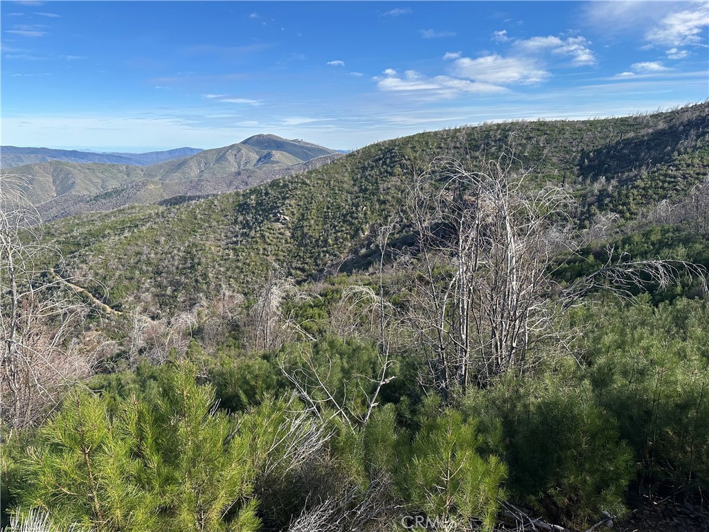 7771 Fs Road Upper Lake, CA 95485 - Photo 2 of 7