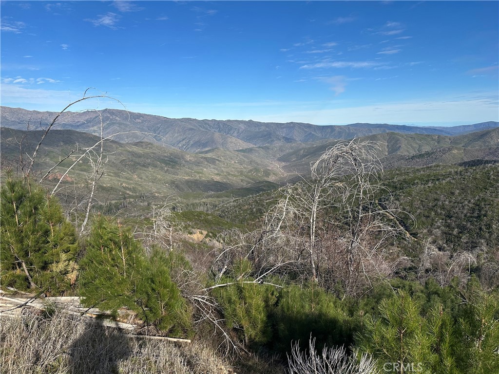 7771 Fs Road Upper Lake, CA 95485 - Photo 3 of 7