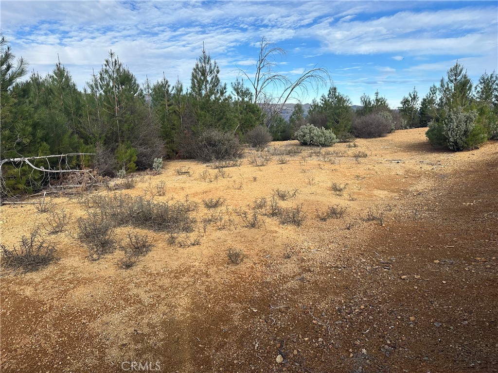 7771 Fs Road Upper Lake, CA 95485 - Photo 4 of 7