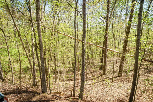 $6,000 | Lots 172-165 Fawn Ridge Road, Parsons, TN 38363