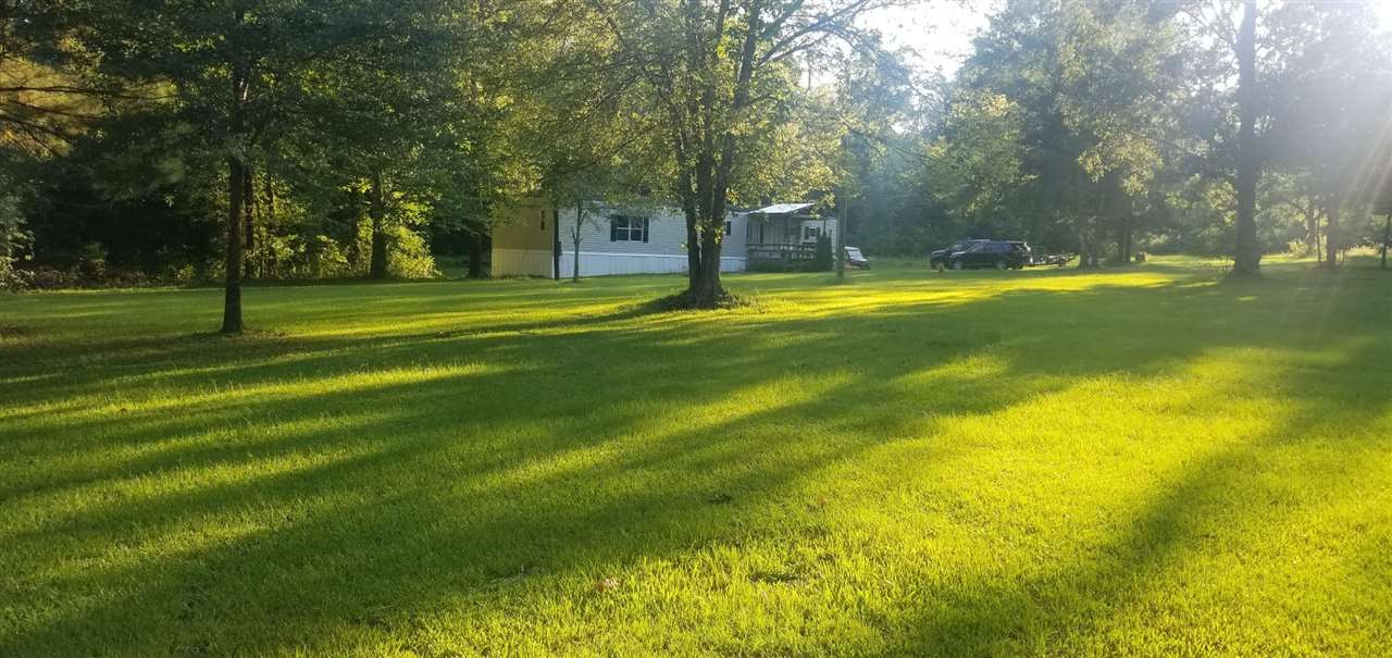 4317 Raymond Bolton Road Bolton, MS 39041 - Photo 4 of 13 Photo 4