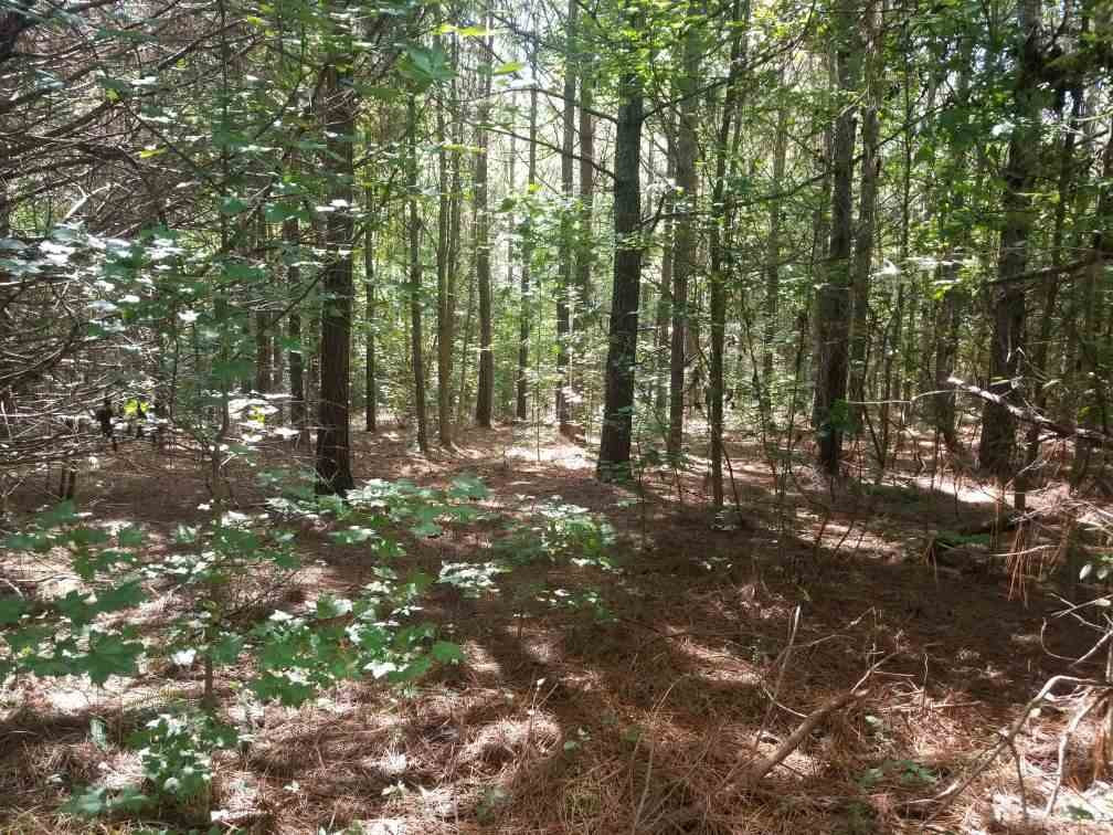 4317 Raymond Bolton Road Bolton, MS 39041 - Photo 7 of 13 Photo 7