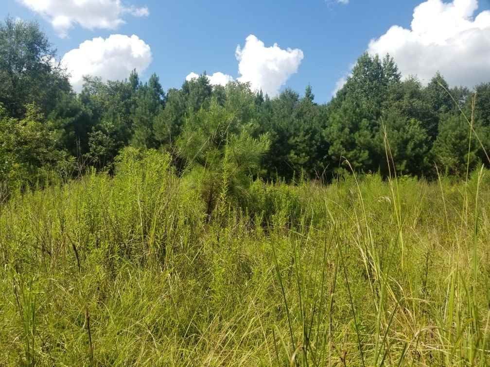 4317 Raymond Bolton Road Bolton, MS 39041 - Photo 8 of 13 Photo 8