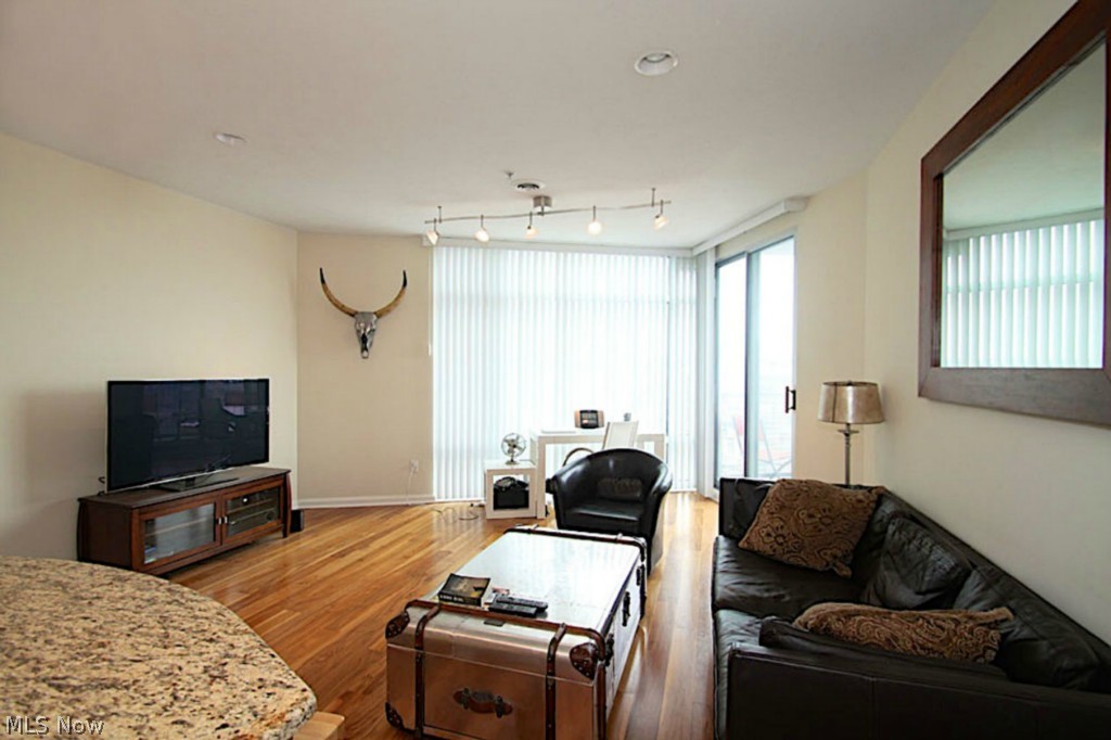1237 Washington Avenue, Unit 1010 Cleveland, OH 44113 - Photo 7 of 20