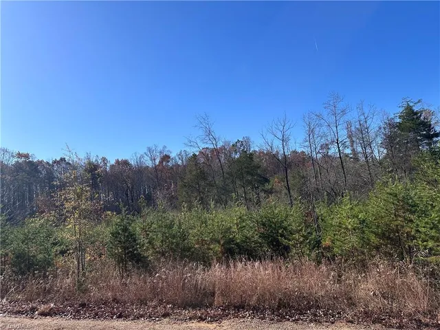 $75,000 | 5 Stephens Trail Road, Sandy Ridge, NC 27046