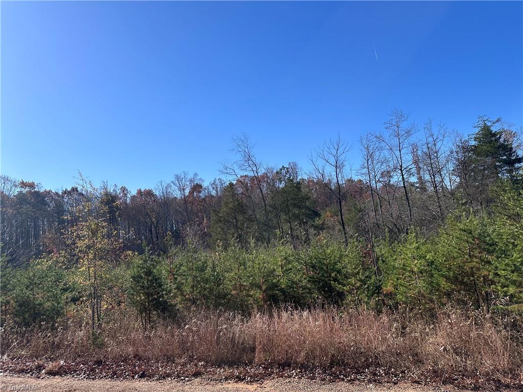 5 Stephens Trail Road Sandy Ridge, NC 27046 - Photo 2 of 3