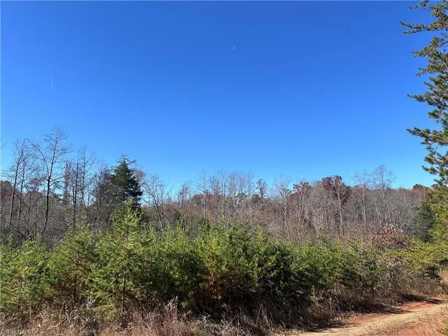 $75,000 | 5 Stephens Trail Road, Sandy Ridge, NC 27046