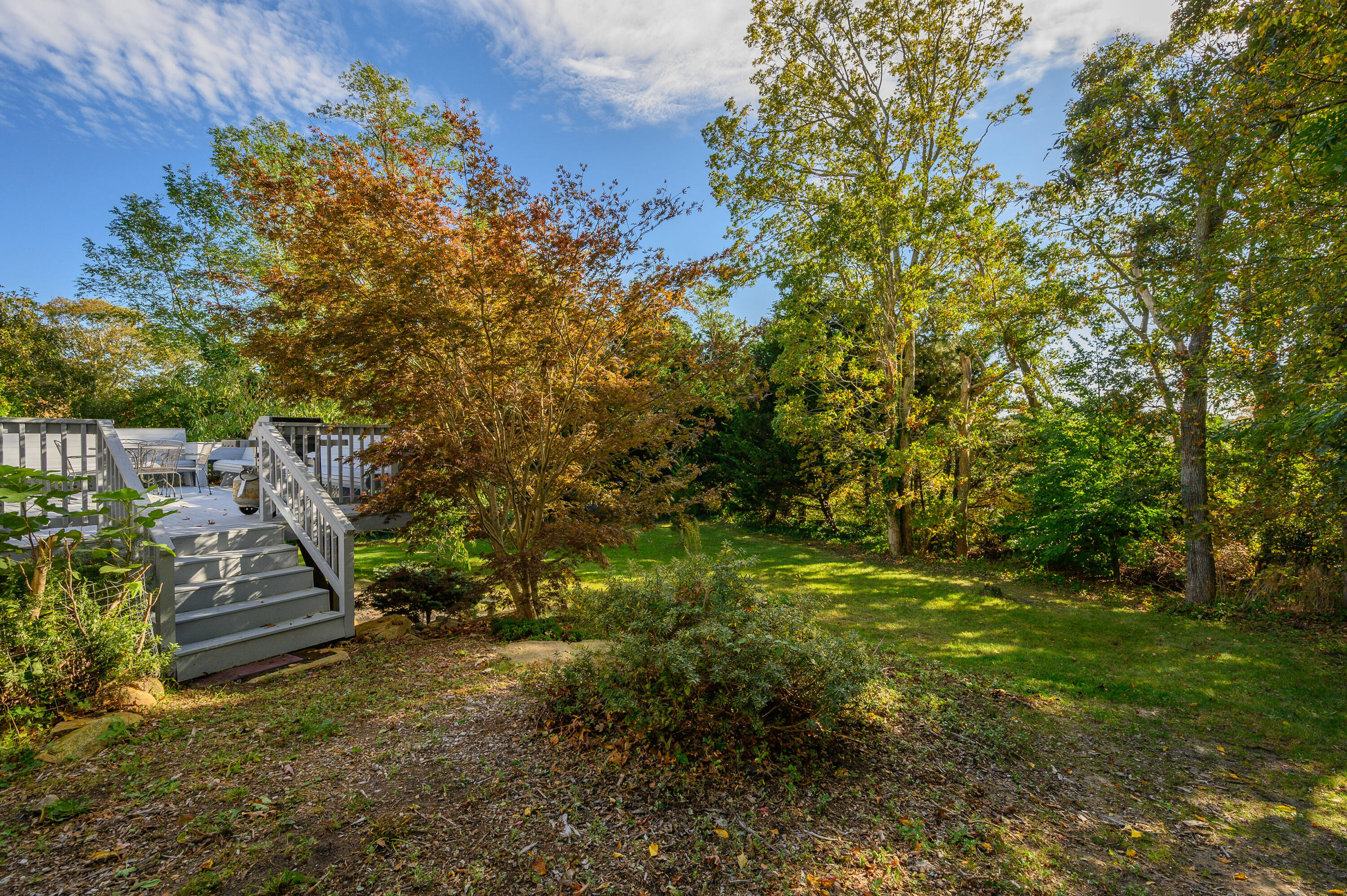 17 Nickerson Road Orleans, MA 02653 - Photo 25 of 31 Backyard