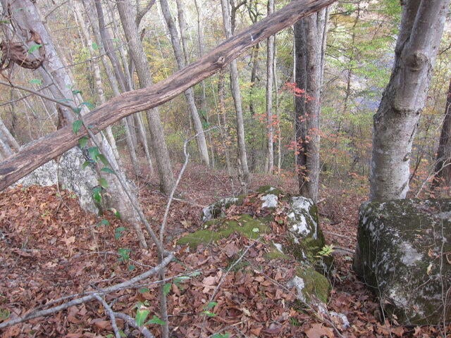 Tbd Spring Creek Station Road Renick, WV 24966 - Photo 25 of 33 Gallery Image 25