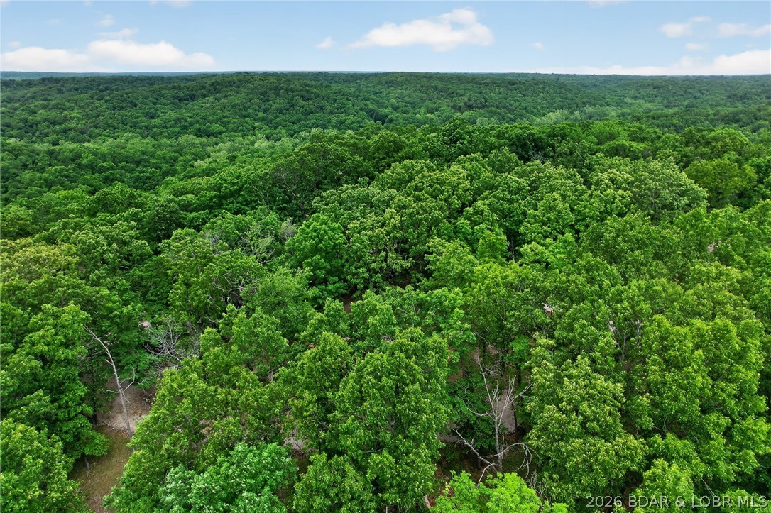 16376 Twisted Tree Road Barnett, MO 65011 - Photo 62 of 65