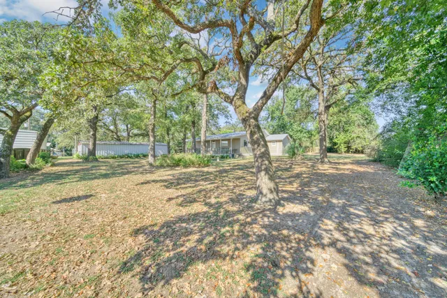 a view of yard with trees
